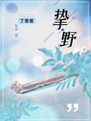 挚野百度云网盘